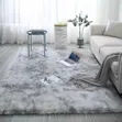 Fluffy Shag Area Rug - Brand New - 2