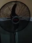 Orl 18" Standing Fan (Used) - 1