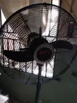 Orl 18" Standing Fan (Used) - 2