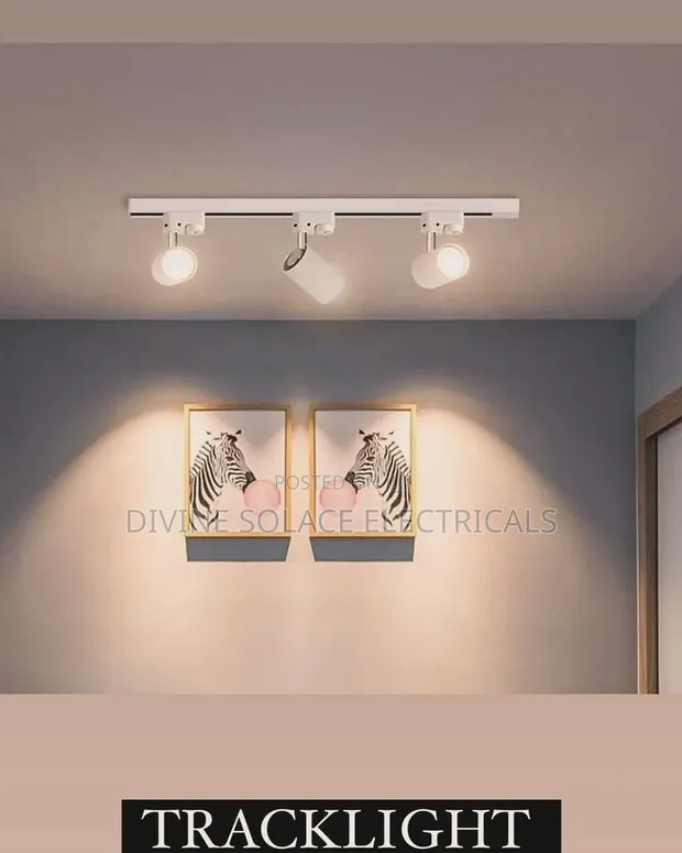 d.light Track Light - 1