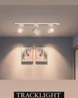 d.light Track Light - 1