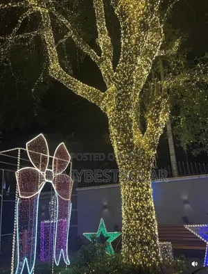 Raindrop Christmas Lights