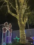 Raindrop Christmas Lights - 2