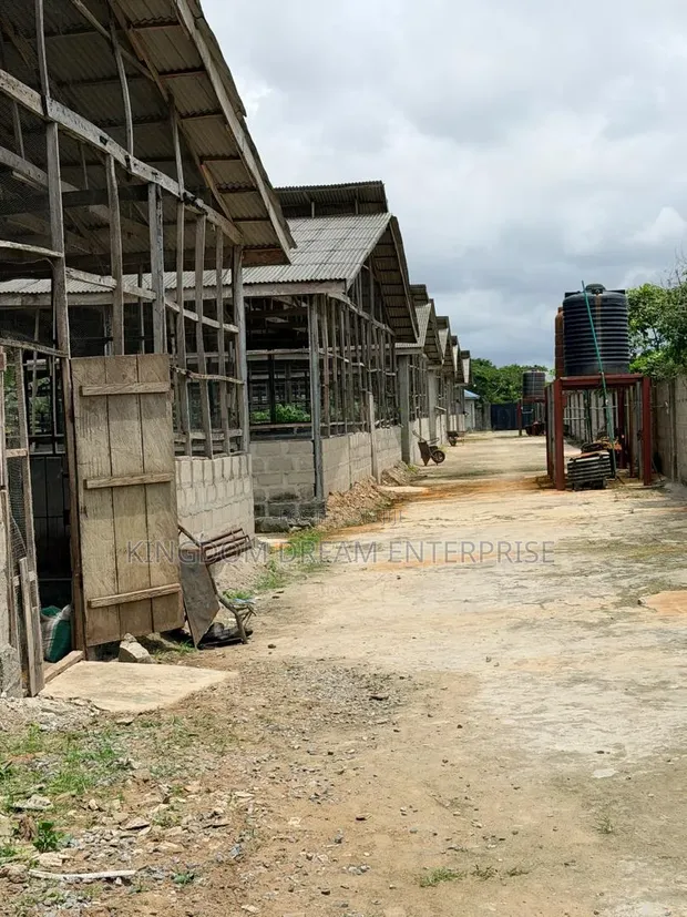 Poultry Farm Land for Sale, Badagry Lagos State - 1