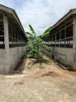 Poultry Farm Land for Sale, Badagry Lagos State - 3