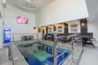Sabon Studio Apartment da Pool na Cikin Gida & Karin Kumallo - 4