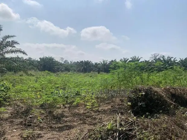 Avalon Royal Estate Residential Land for Sale - 1