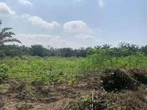 Avalon Royal Estate Filin Zama don Siyarwa