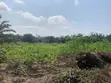 Avalon Royal Estate Residential Land for Sale - 1