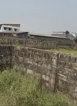 Full Plot of Land with Building Plan, Ofada