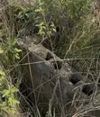 Full Plot of Land with Building Plan, Ofada - 5