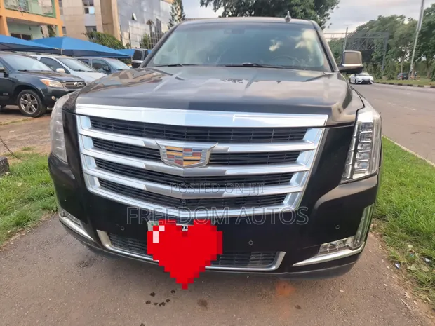 2016 Cadillac Escalade Gray - 1