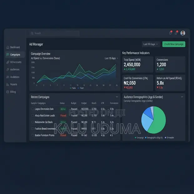 Remote Sponsored Ads Management | Meta & TikTok Paid Ads Expert - 1