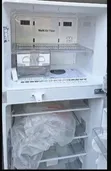 Sabon LG Smart Inverter 308L Firij Mai Ƙofofi Biyu - 3