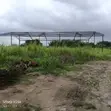 Factory/Warehouse for Sale - 9 Plots, C of O - 4