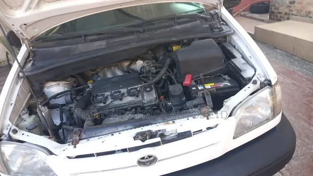 Toyota Sienna 2002 White - 1