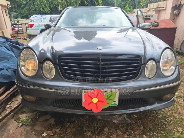 Mercedes-Benz E350 2005 Gray - 1