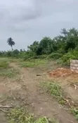 Achievers Estates 2 Land for Sale, Igwuruta Ali/Omagwa - 2