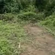 Achievers Estates 2 Land for Sale, Igwuruta Ali/Omagwa - 3