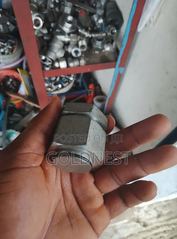 High-Pressure Hydraulic Blanking Plug - 1