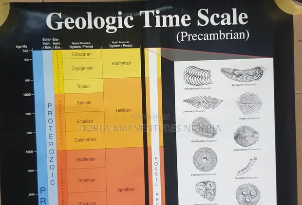 Geological Time Scale Educational Poster (Precambrian) - 1