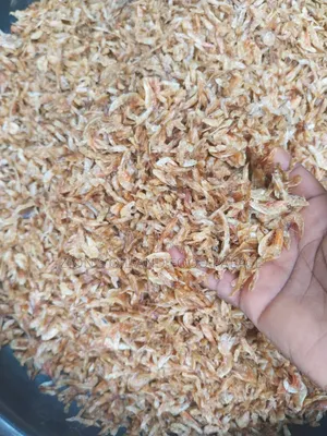 Zion's Quality Crayfish - Clean & Fresh