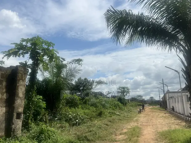 Land for Sale: Deed of Assignment/C of O, GRA Amangba, Benin City - 1