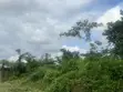Land for Sale: Deed of Assignment/C of O, GRA Amangba, Benin City - 4