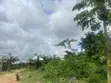Land for Sale: Deed of Assignment/C of O, GRA Amangba, Benin City - 5