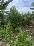 Half Plot of Land at Unity Estate, Akure - 2