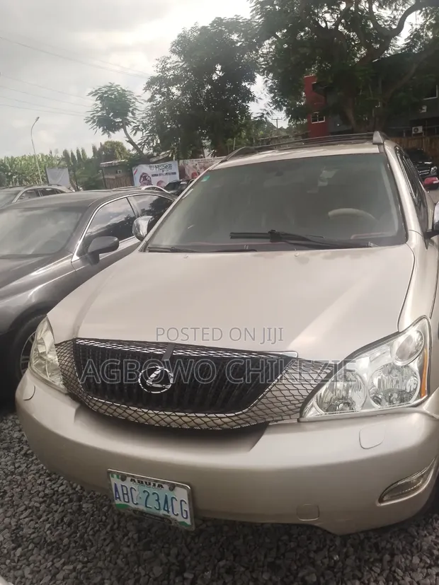 Lexus RX 2010 Brown - 1