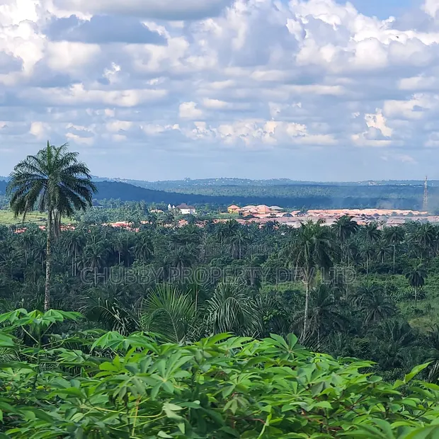 Residential Land for Sale - Agbo Ibeku, Umuahia - 1