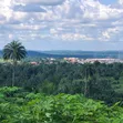 Residential Land for Sale - Agbo Ibeku, Umuahia - 1