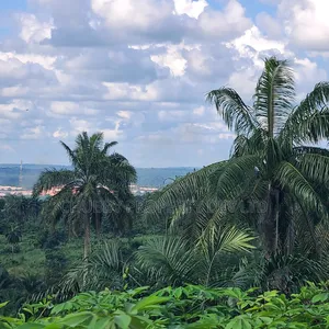 Residential Land for Sale - Agbo Ibeku, Umuahia
