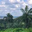 Residential Land for Sale - Agbo Ibeku, Umuahia - 2