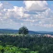 Residential Land for Sale - Agbo Ibeku, Umuahia - 3
