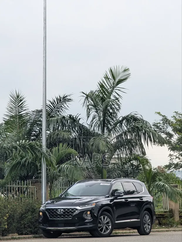 2020 Hyundai Santa Fe - Direct Belgium - 1