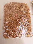Zion's Crayfish Mar Daga Yashi - 100g - 2