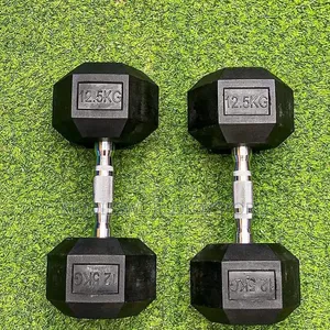 Bodyfit Dumbbells 12.5kg