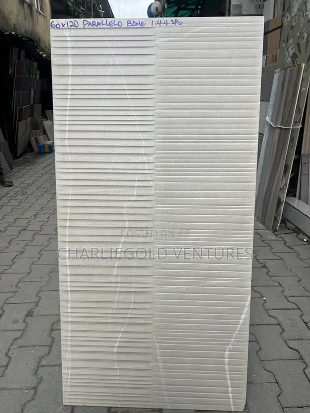 CAP Porcelain Floor Tiles - 60x120cm Matt - 1