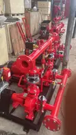 Brand New Fire Hydrant/Sprinkler Pump Machine - 1