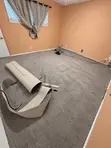 Wall to Wall Rug with Installation - Brand New - 1