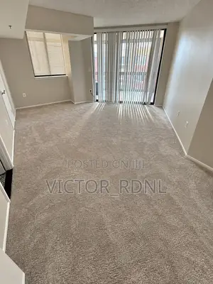 Wall to Wall Rug with Installation - Brand New