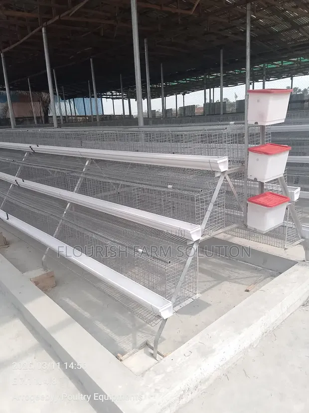 Emma Poultry Equipment & Accessories - 1