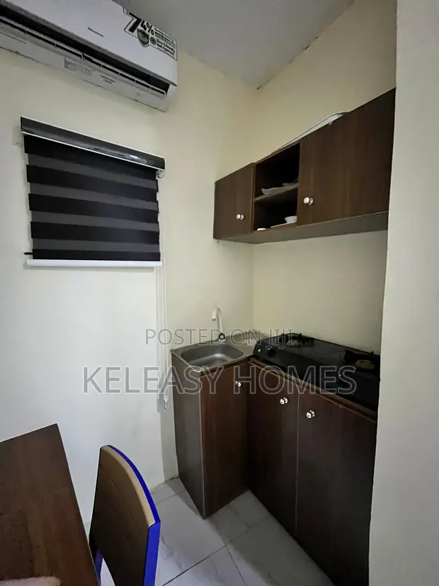 Stylish Studio Apartment for Short Let in Bariga / Shomolu - 1