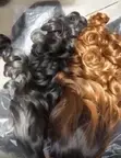 13x4 Blend Bounce Wig - 2