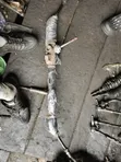 Amfani da Electric Steering Rack na Kia Cerato (2012-2014) - 2