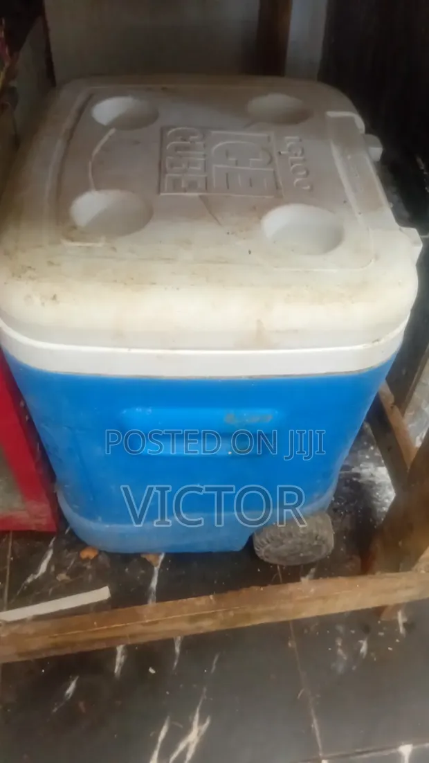 Igloo Ice Cooler - Used - 1