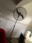26-inch OX Floor Fan - 1