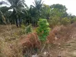 5 Plots of Land Along Abakaliki Expressway, Enugu - 3